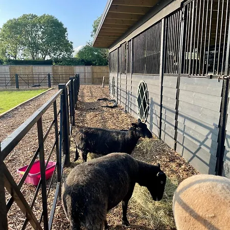 Willow Court Farm Studio East & Petting Farm, 8 Mins To Legoland & Windsor, 15 Mins To Lapland Uk-3